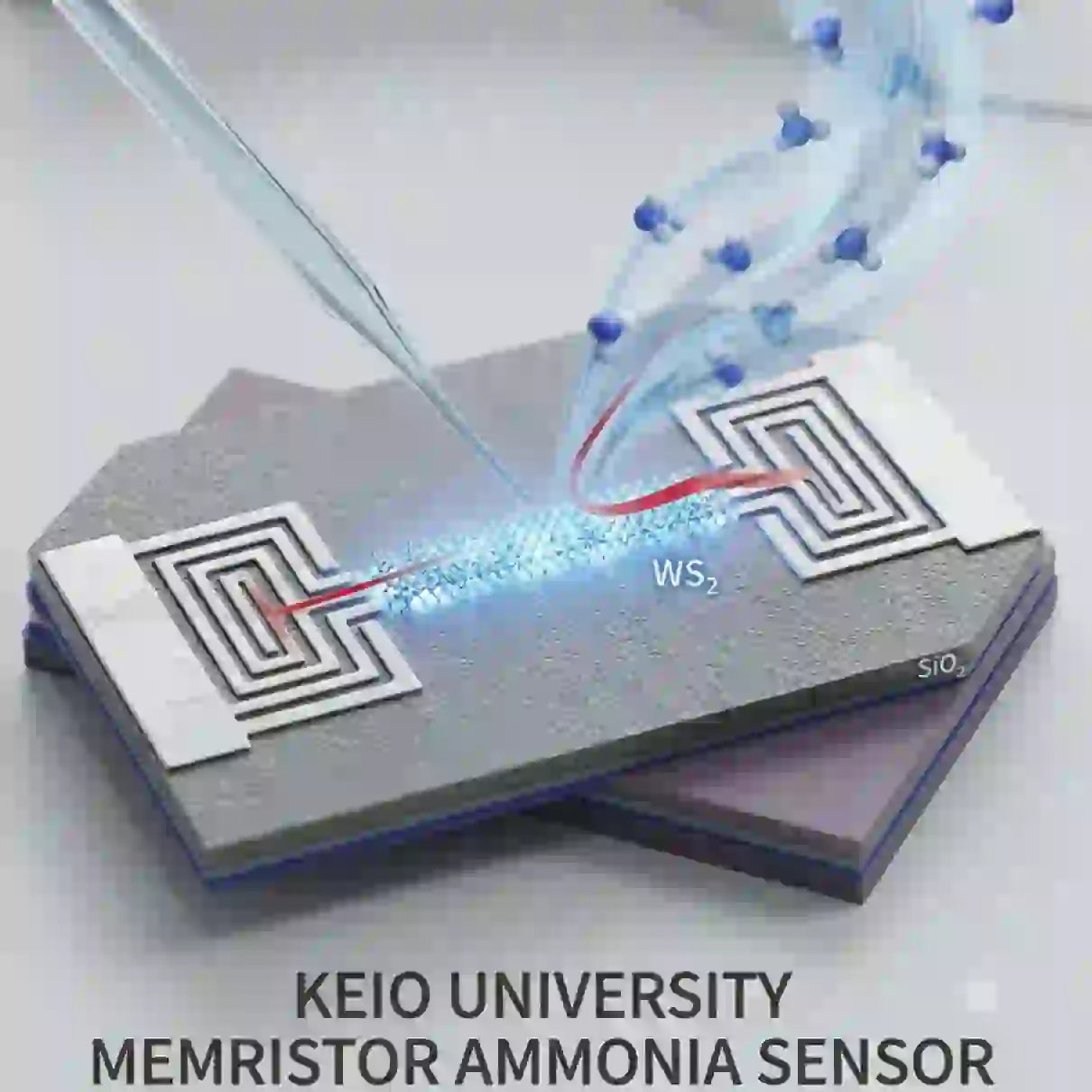Keio University Develops Advanced Ammonia Gas Sensor Utilizing Tungsten Disulfide Memristors